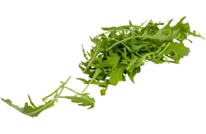 Rucola cress 20gr.